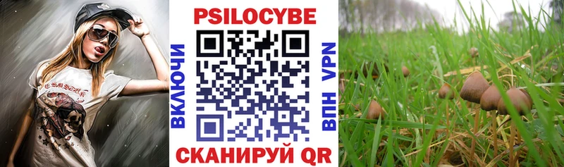 Галлюциногенные грибы GOLDEN TEACHER  Сегежа 